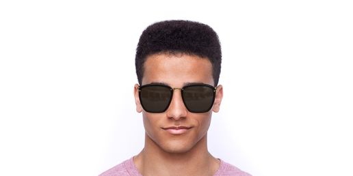 LUNETTES DE SOLEIL homme GG673S marron