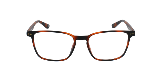 LUNETTES DE VUE homme ARTURO écaille