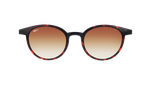 RC248SGBR