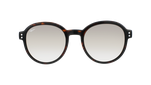 HC203SGBR