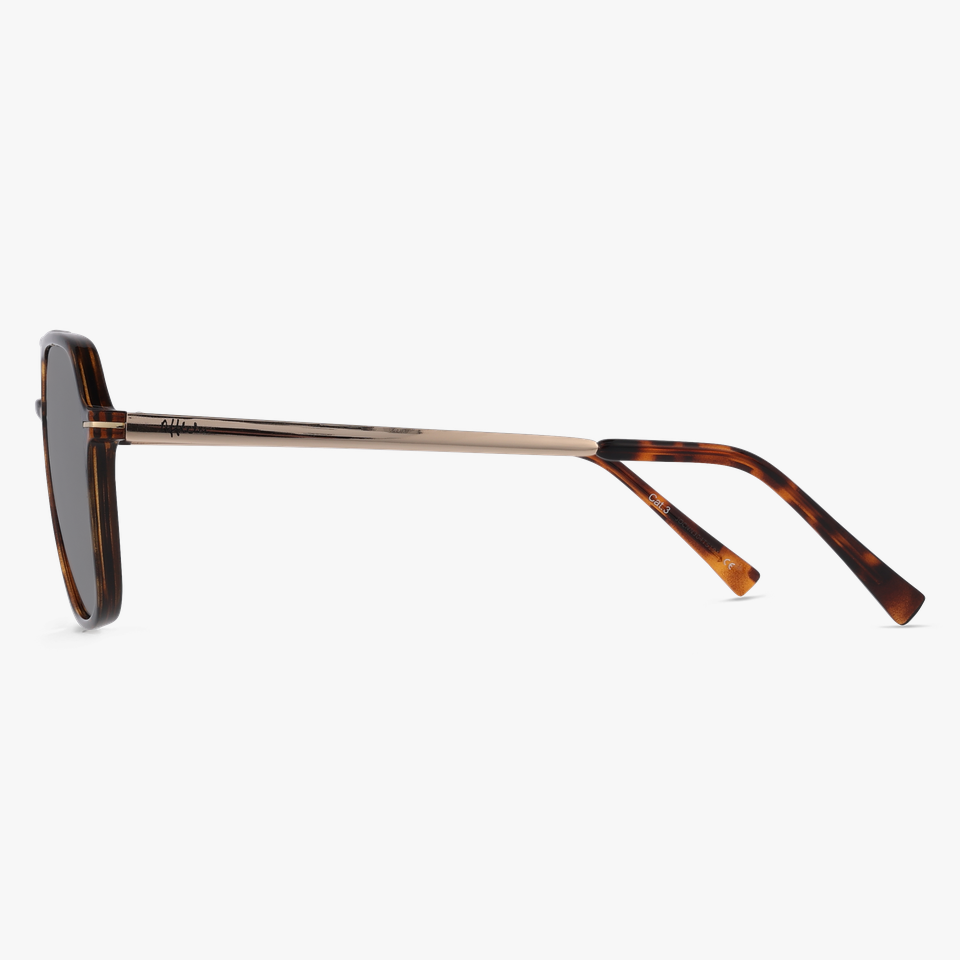 Lunettes de soleil homme IKER écaille/dorée - Vue de face