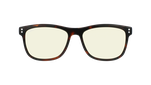 HC205YE01