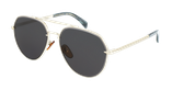 LUNETTES DE SOLEIL homme DB 7037/G/S doré - Vue de face