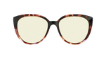 FC178YE01