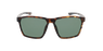 Lunettes de soleil homme DINO écaille