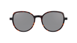 RC249SUGG