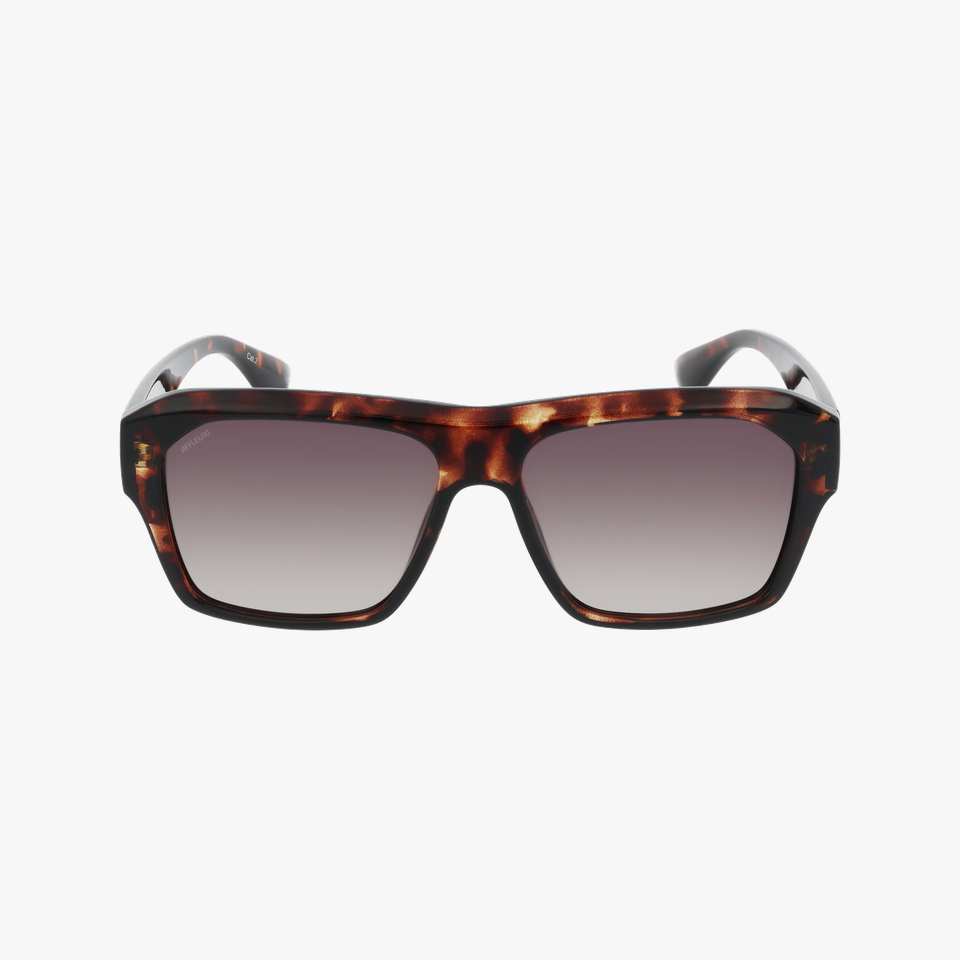 Lunettes de soleil homme URBAN écaille - Vue de face
