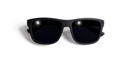 LUNETTES DE SOLEIL homme DIEGO bleu Vue de face