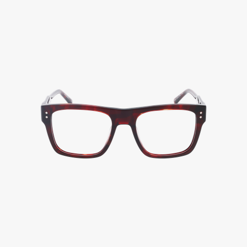 Lunettes de vue homme CARACTÈRES INGENIEUX écaille