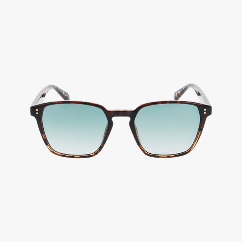 Lunettes de soleil RIOS écaille