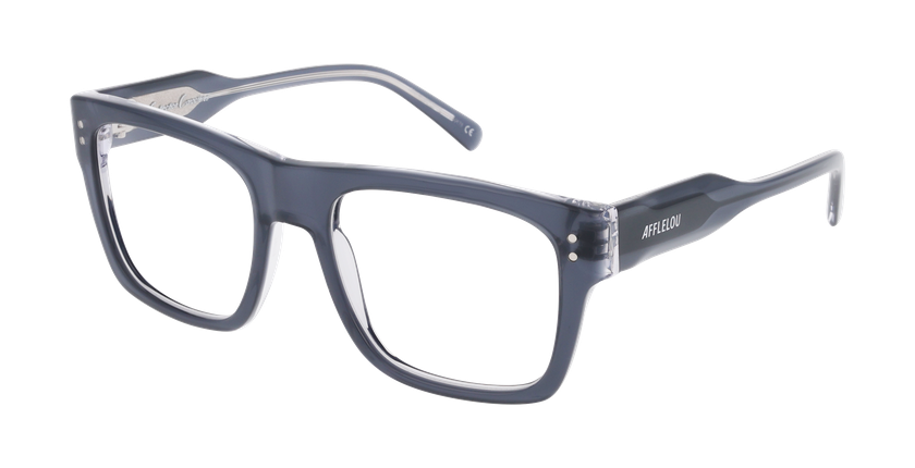 Lunettes de vue homme CARACTÈRES INGENIEUX gris/cristal - Vue de face