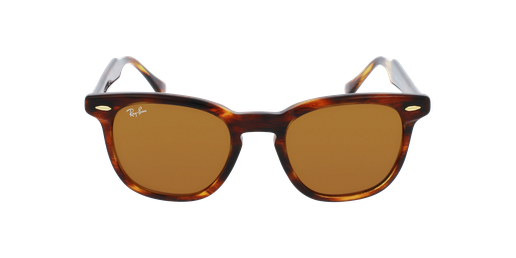 LUNETTES DE SOLEIL HAWKEYE écailleVue de face