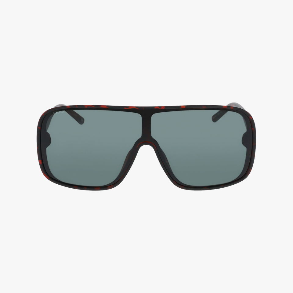 Lunettes de soleil TILO écaille - Vue de face