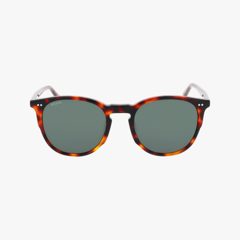 Lunettes de soleil BARI écaille