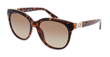LUNETTES DE SOLEIL femme GU7850 écaille - Vue de face