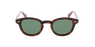 Lunettes de soleil homme MAGIC SUNNY FIDJI écaille
