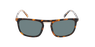 Lunettes de soleil homme PETER écaille