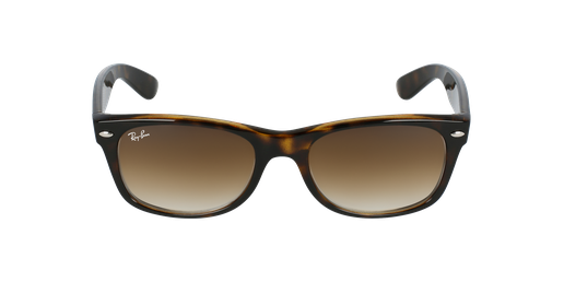 LUNETTES DE SOLEIL homme NEW WAYFARER écaille