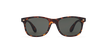 LUNETTES DE SOLEIL CARUCEDO écaille - Vue de face
