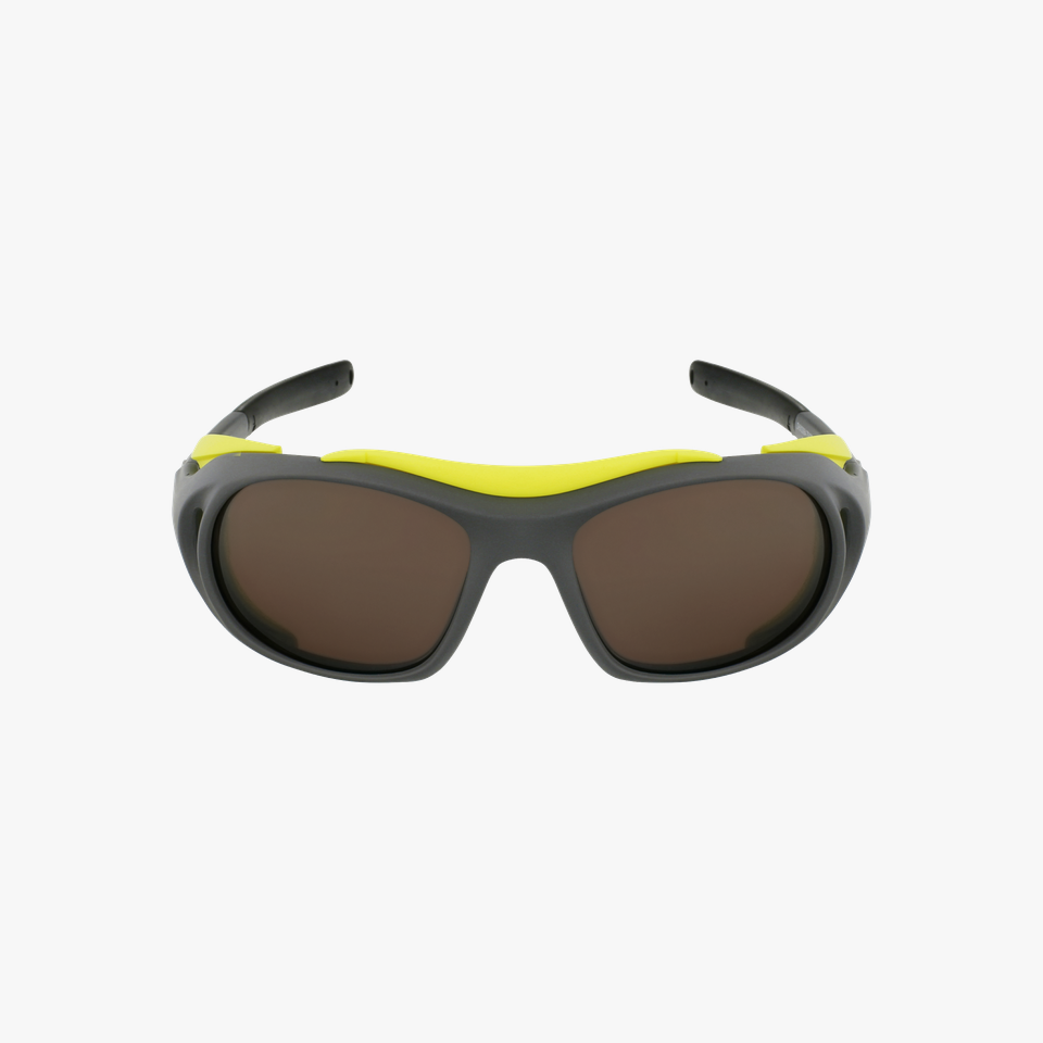 Lunettes de soleil Landmark gris - Vue de face