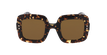 LUNETTES DE SOLEIL femme IM 0074/G/S écaille - Vue de face
