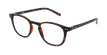 LUNETTES DE VUE FORTY anti-lumière bleue Écaille écaille/écaille - vue de 3/4