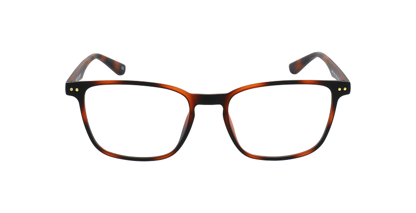 LUNETTES DE VUE homme ARTURO écaille - Vue de face