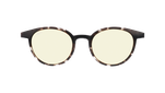 RC248YE01