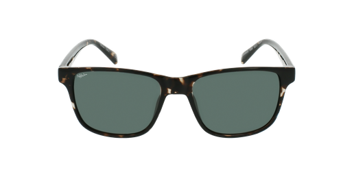 LUNETTES DE SOLEIL homme BARROS écaille/noirVue de face