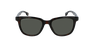 Lunettes de soleil homme 1037/S écaille