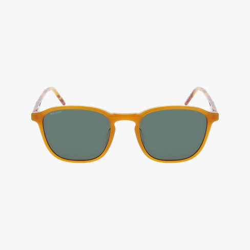 Lunettes de soleil homme BORMIO écaille/beige Vue de face