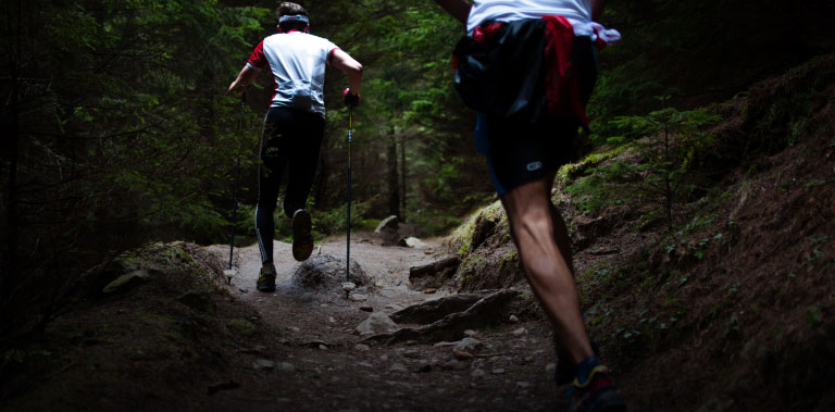 Photo représentant des coureurs en forêt